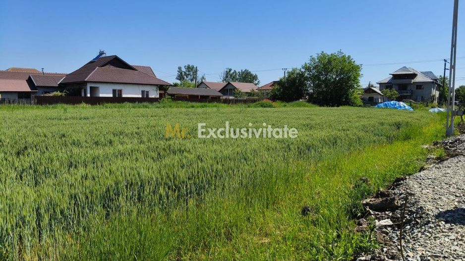 Teren 10.294 mp de vânzare Târgu Jiu | Intravilan + Extravilan | Utilități - Poză 7