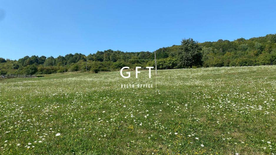 Teren Extravilan 11.000mp-Unirea-Valea Slatinitei - Poză 6