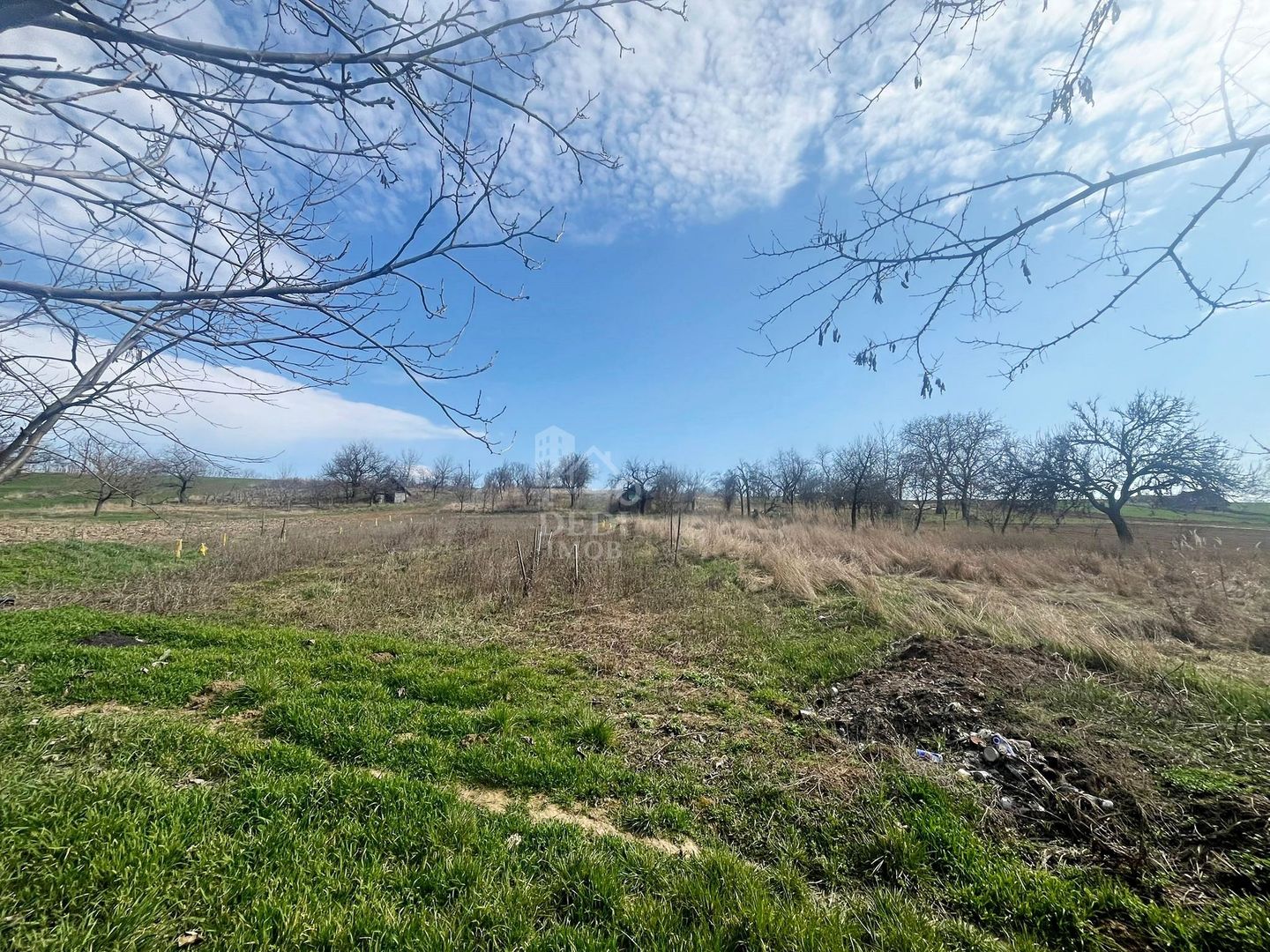 Casă cu 2 locuințe, teren intravilan 7062 mp Cetariu, Bihor - Poză 10