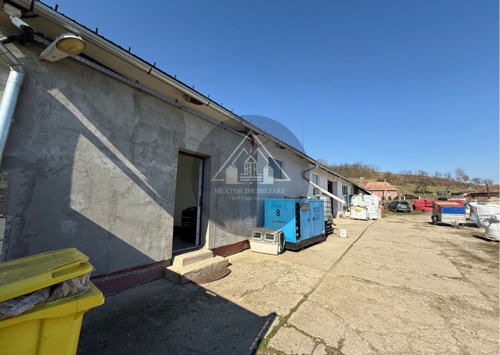 Halã de vânzare - Poză 7