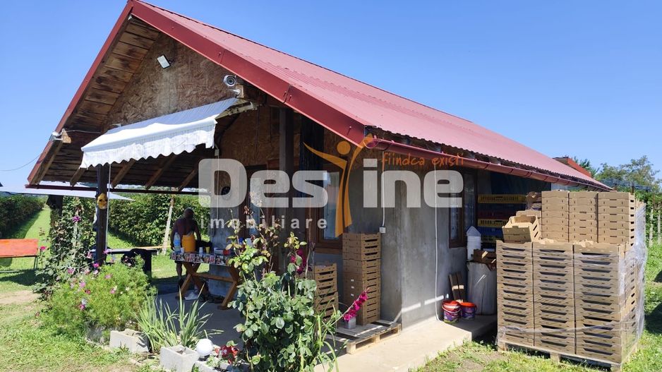 Plantatie de Muri Baicoi 10.000 mp Afacere la cheie! - Poză 3