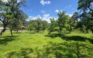 TEREN INTRAVILAN 3477 MP STOENEȘTI BĂDENI ARGEȘ - Poză 11