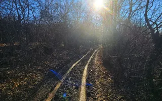 Teren intravilan 2.000 mp – Seciu, 2 deschideri, Priveliște panoramica - Poză 12
