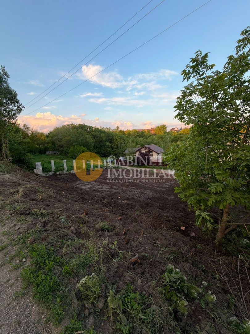 TEREN INTRAVILAN 500 MP REDIU - Pozitie excelentă - 49.000 Euro - Poză 2
