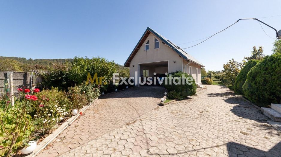 Casa visurilor cu 4000 mp livada roditoare si gradina Darmanesti-Arges - Poză 16