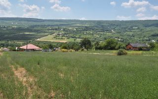 Teren intravanal de vanzare in Tomesti-Goruni, Iasi - Suprafete intre 700 si 800 mp - Poză 3