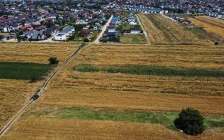 Teren INTRAVILAN in zona de intrare - comuna Berceni - Poză 3