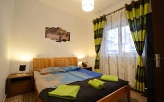 Garsoniera in cartier de case, la curte, pet friendly, Centrul istoric - Poză 1