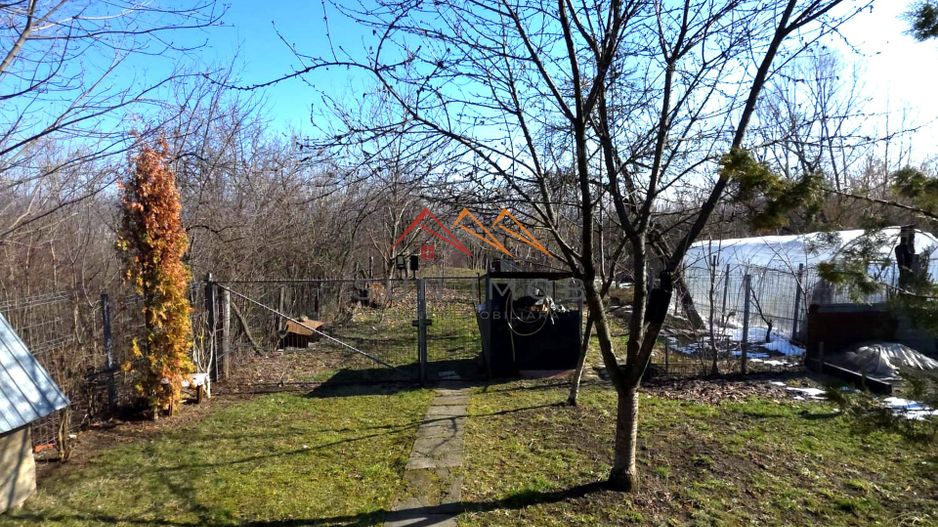 CASĂ INDIVIDUALĂ CU LIVADĂ | 2.195 MP TEREN | POIANA CÂMPINA - Poză 16
