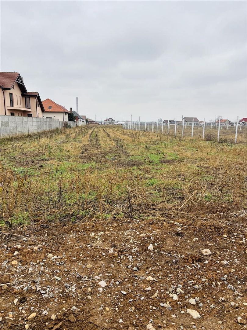 Teren intravilan Oradea Oncea - Poză 2