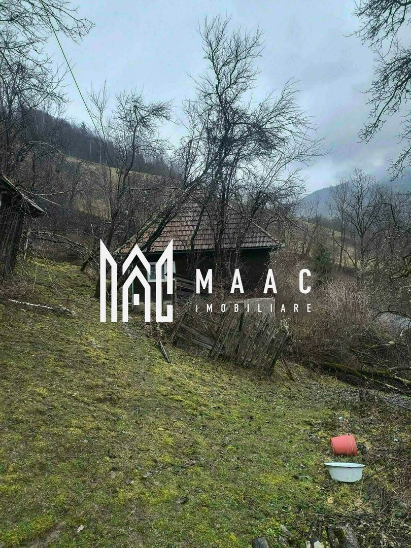 Un colt de rai in Apuseni I viața ca pe vremuri - Poză 9