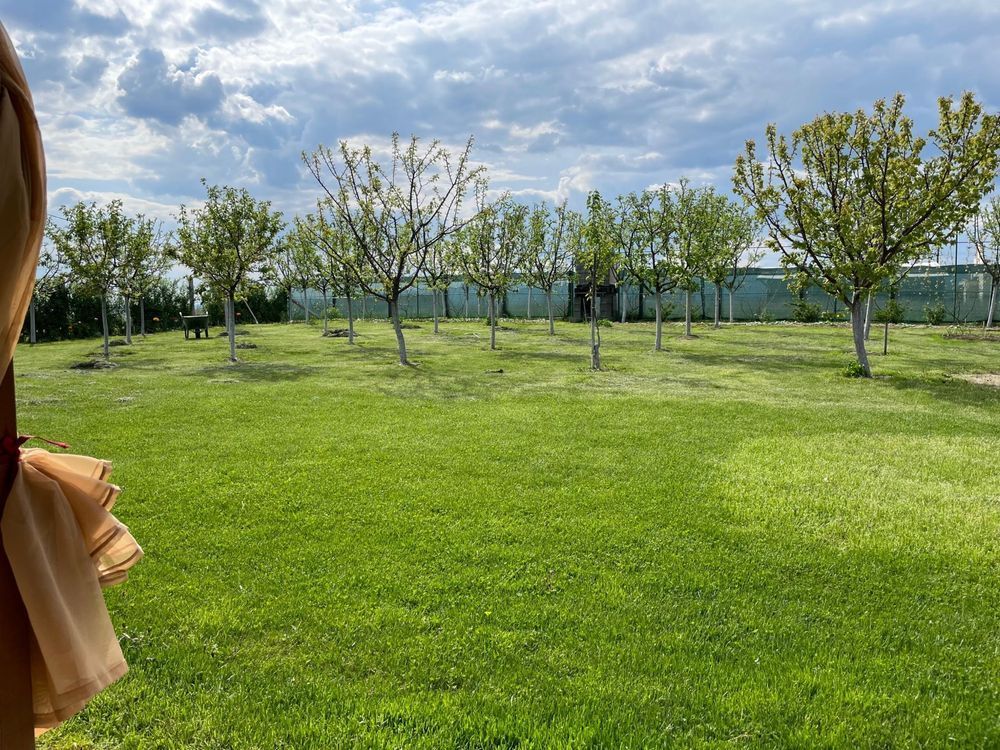 Cabana de lemn, 2 camere, teren 850 mp, livada, Oarda, Alba Iulia - Poză 4