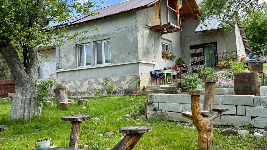 2 Case + teren 1390 mp langa parcul central Provita de Sus - Poză 1