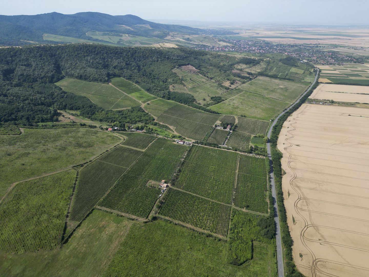 Vie Tradițională „Halta Lupilor” - Poză 30