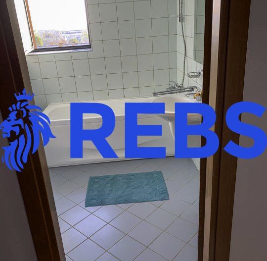 Apartament 3 camere Central Park - Poză 8