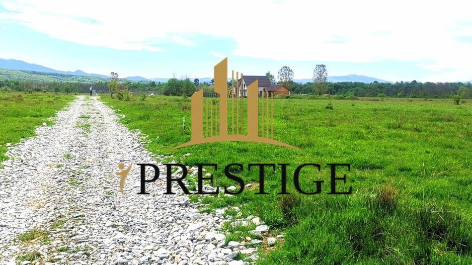 Teren Valea Avrigului – 1.000 mp | 1 km Dino Park | 25 €/mp - Poză 6