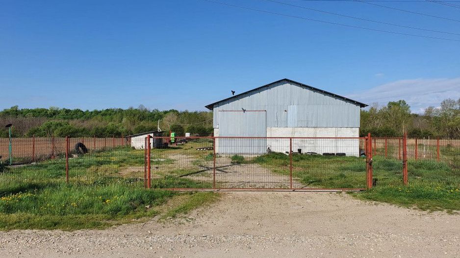 Hala de vanzare Costesti - Poză 6