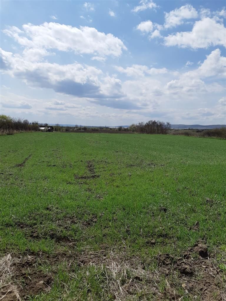 Teren extravilan 5.900mp,langa lac,acces dublu,apreciabil potential,Breaza,Mures - Poză 2