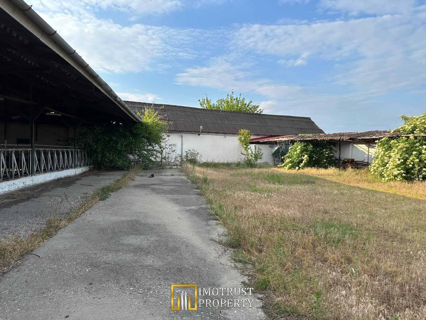 Teren 9.508 mp cu 2 fronturi stradale – Sofronea, Arad - Poză 3