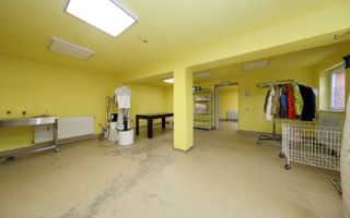 Proprietate mixtă cu spațiu comercial și locuință, Cristian - Poză 5