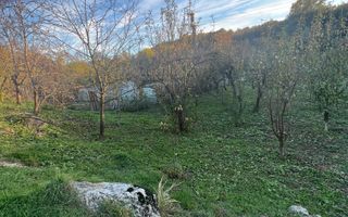 Casa cu livada | Bujoreni | 1550 mp - Poză 2
