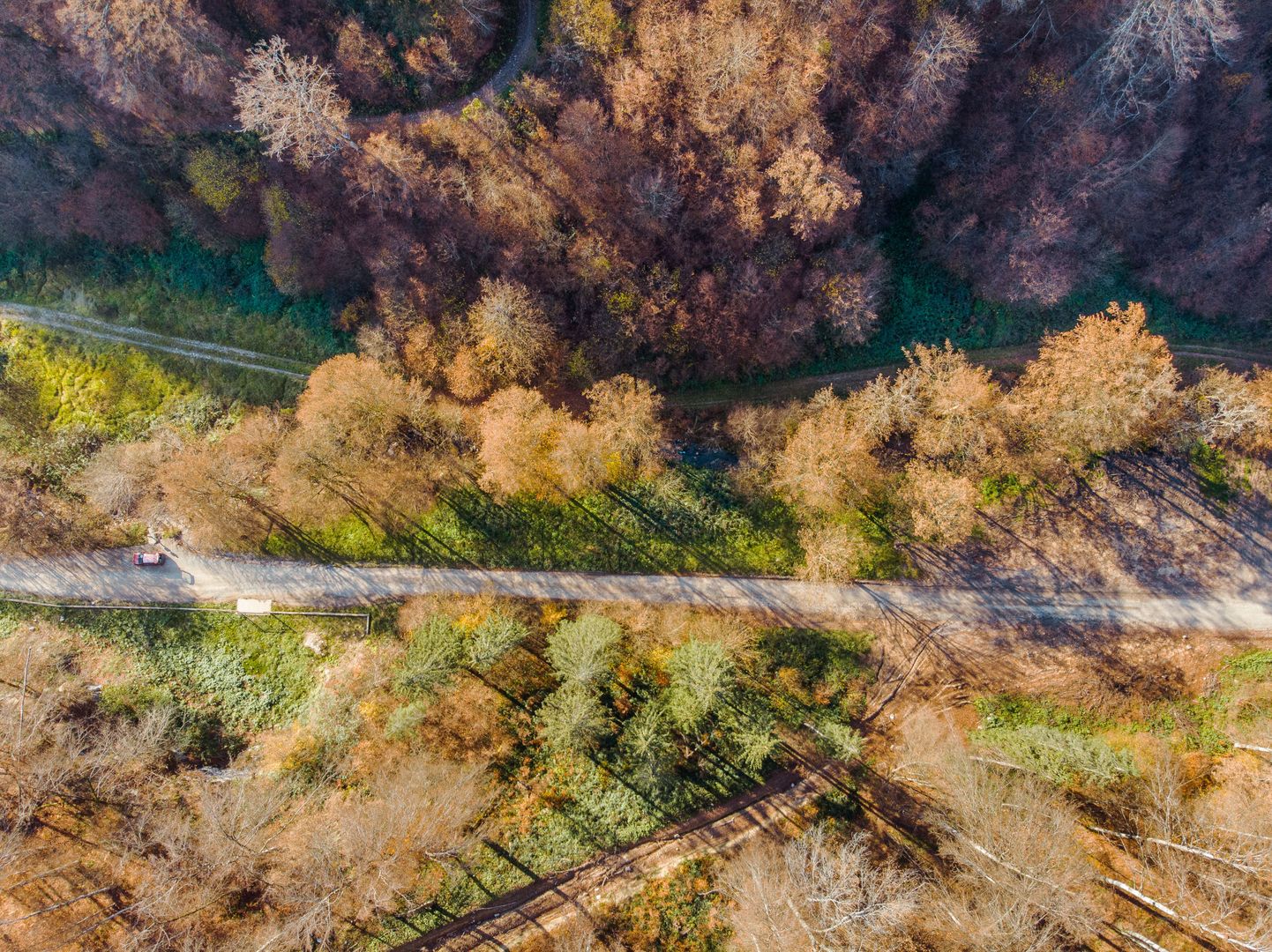Teren central în Moneasa - Poză 3