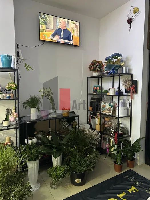 Inchiriere Spatiu Comercial Piata Victoriei, 30mp - Poză 2