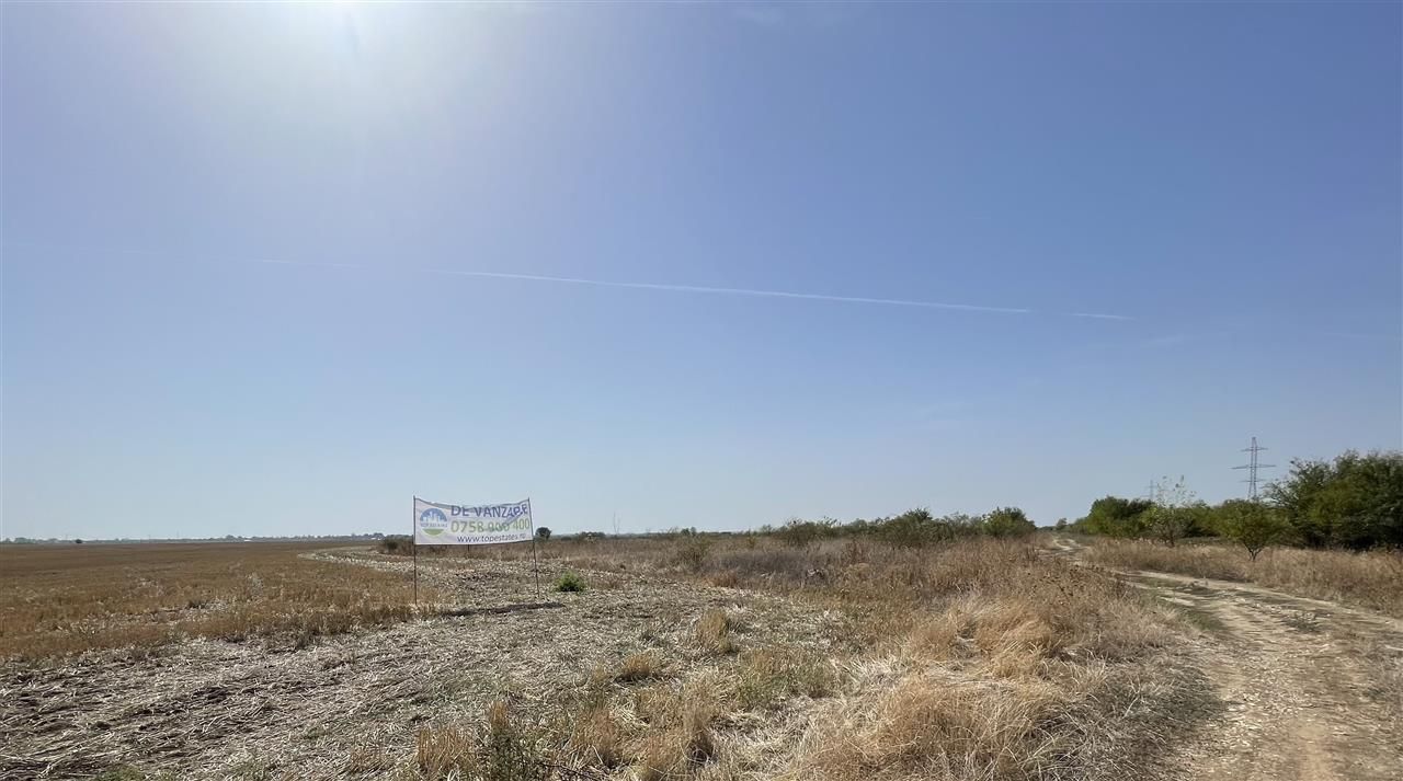 Vanzare teren intravilan zona industriala 5000 mp - Chiajna A1 Ilfov - Poză 1