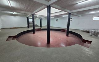 Spatiu Comercial si Apartament Zona Cetate, 1143mp Construiti - Poză 3