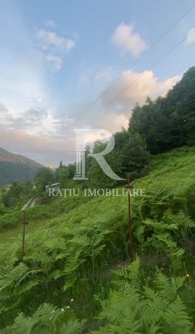 Teren 10.900mp | Panoramă în Apuseni | Remeți -Ideal pentru Investitii - Poză 9