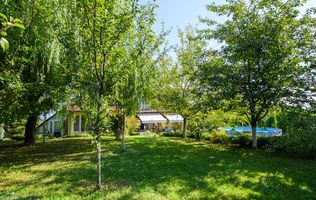 Casa cu salcie - refugiul tău boem, lângă oraș, pe un teren de 1800 mp