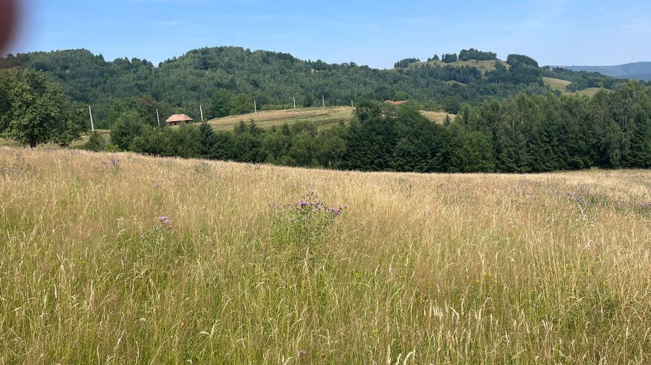 Teren intravilan I Loc deosebit, inconjurat de padure I Vladeasa - Poză 2