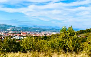 Teren de vanzare,16000 mp - parcelabil, 3 minute de centru! - Poză 5