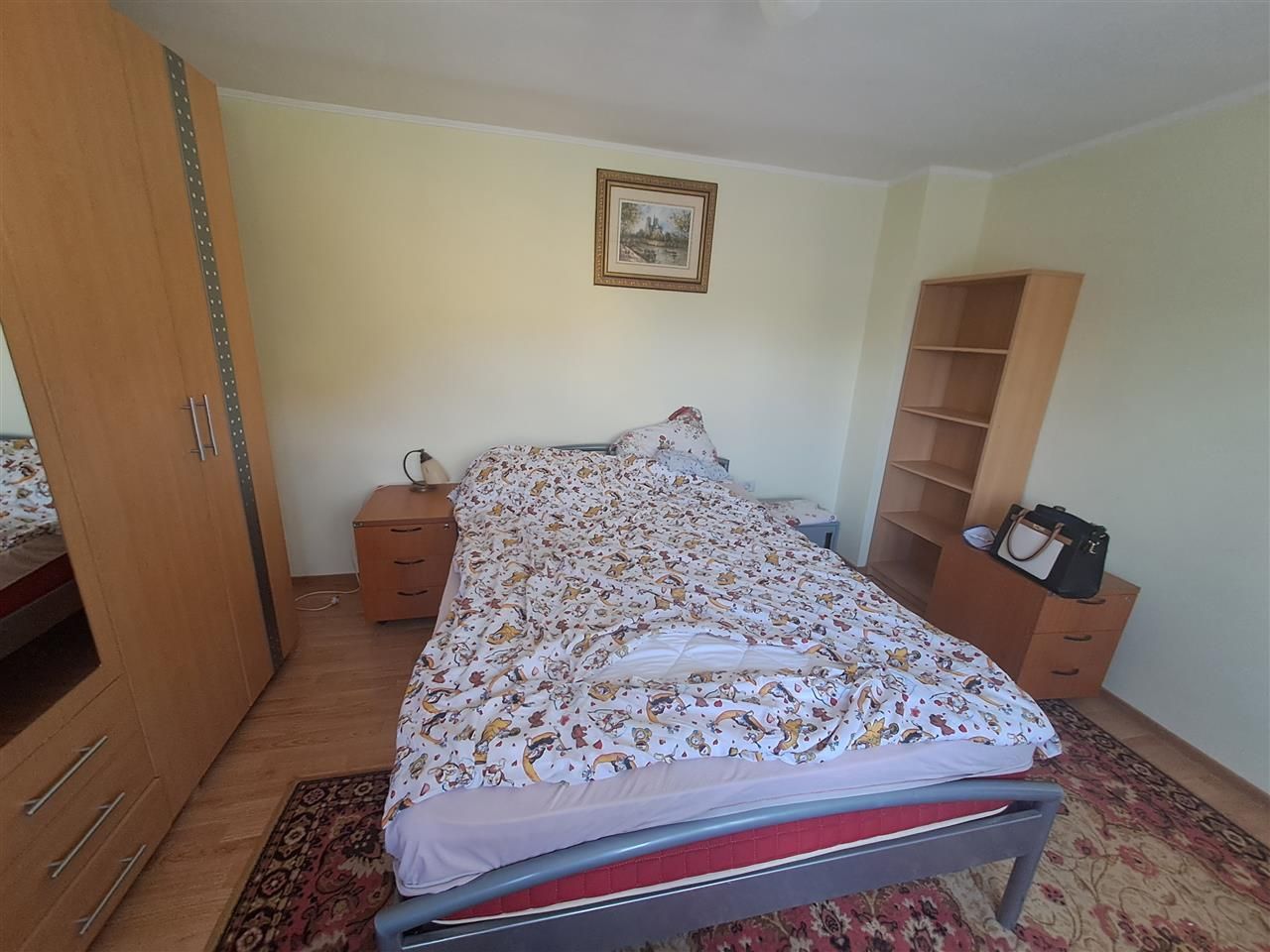 Casa individuala pe parter Sagului-Liviu Rebreanu - Poză 14