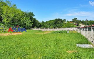 Vanzare vila Albota - Mares - Poză 2