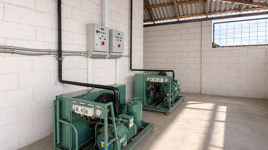 Frigider industrial funcțional 300 tone + transformator propriu | Investiție gata de operare – Speia, Anenii Noi - Poză 19