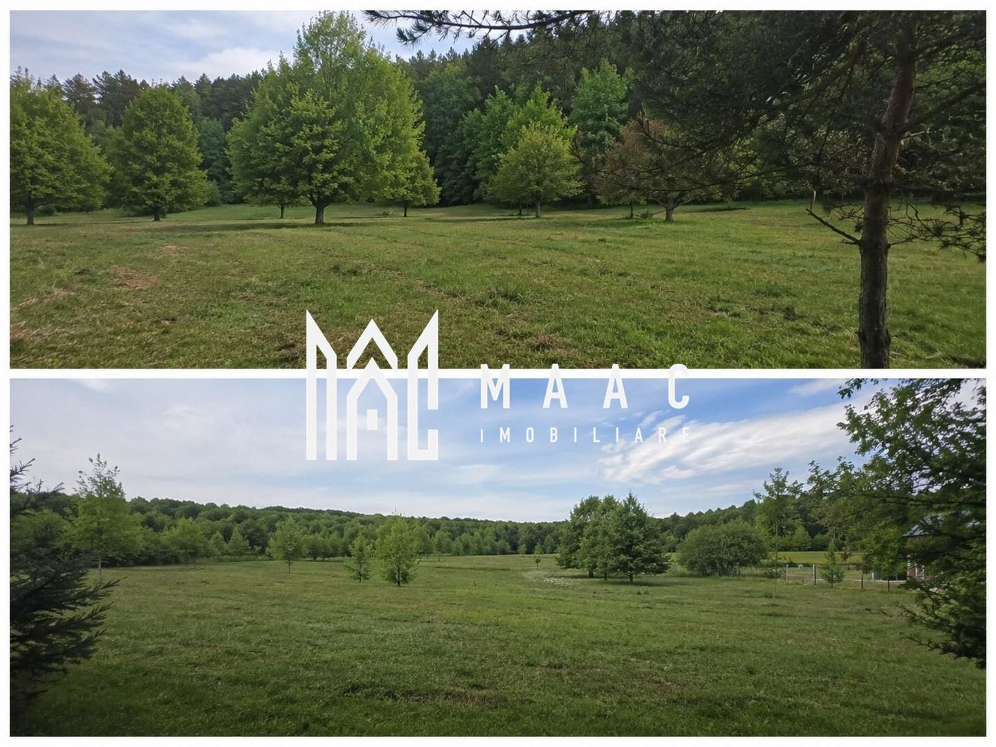 Teren extravilan 2000 mp | Rășinari | livadă, lângă Cisnădioara - Poză 2