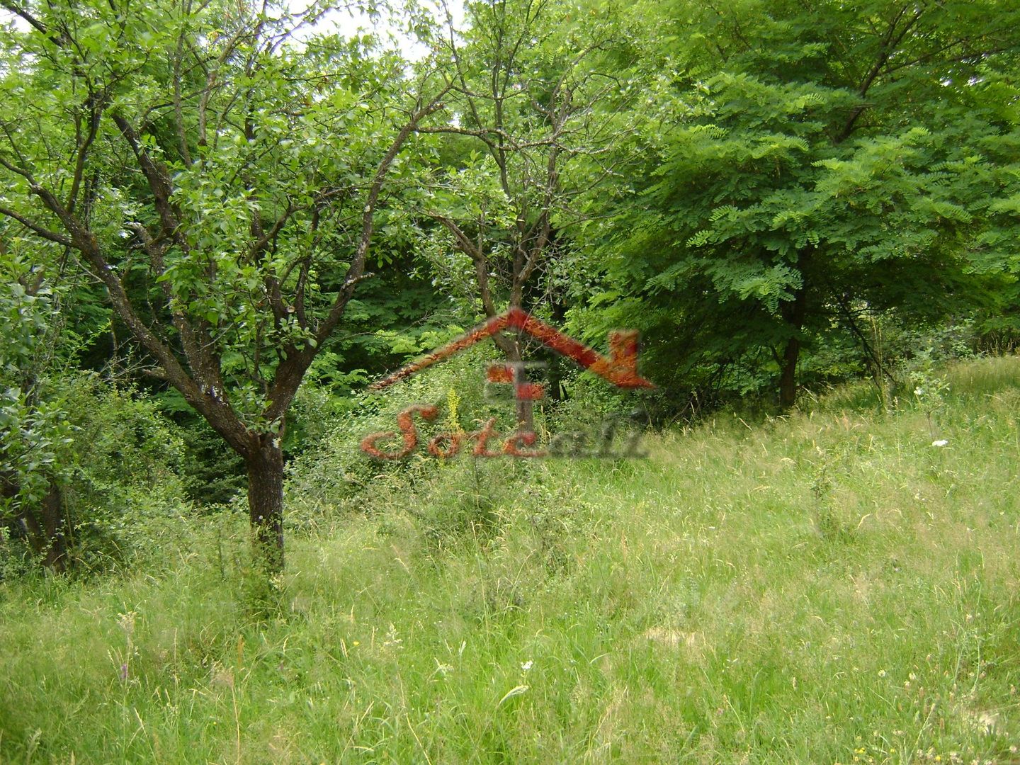 Teren de vanzare Cornu 3074 mp - Poză 7