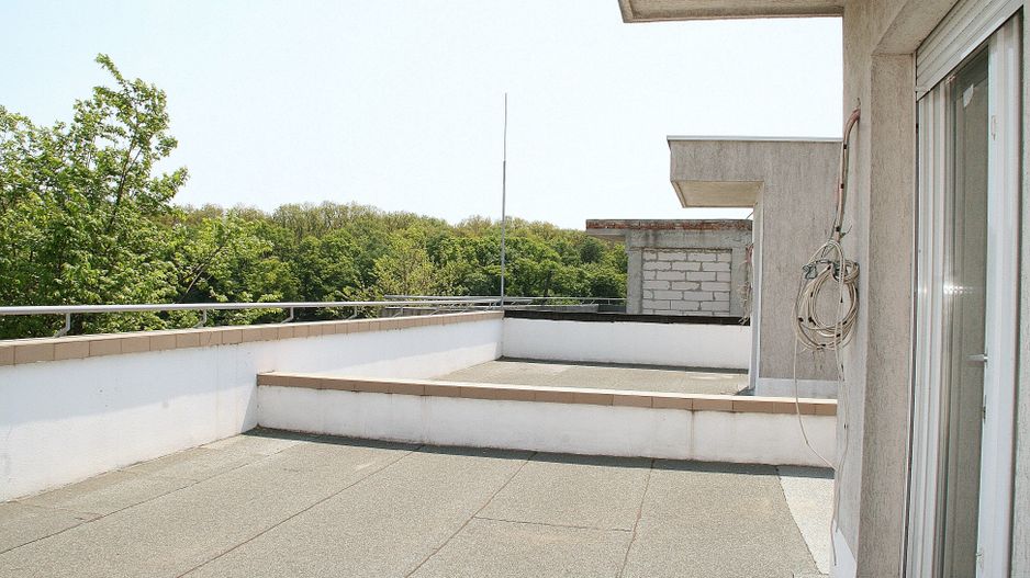 BRANESTI, cu deschidere la Balta Branesti, inchiriere vila 7 camere - Poză 18
