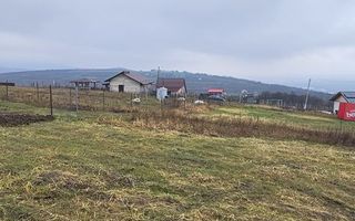 Teren intravilan 656 mp + acces, lângă pădure – Chicerea - Tomești - Poză 1