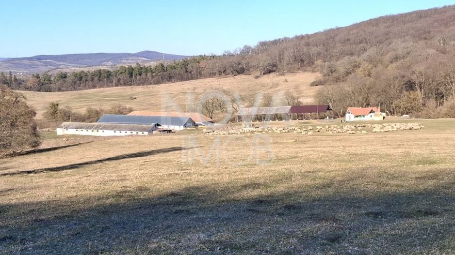 Ferma complet echipata de vanzare – zona Agnita, judetul Sibiu - Poză 2