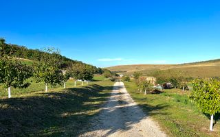 Ferma de vanzare cu 550MP utili si 27.500MP teren la asfalt - Poză 29