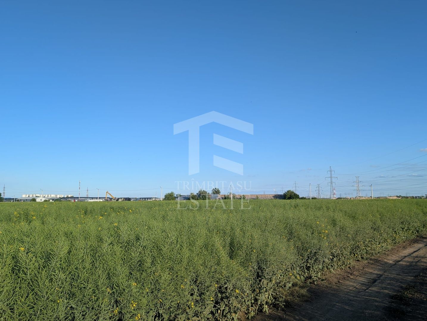 Teren de vanzare Domnești - Str. Narciselor - 20312mp - Poză 6