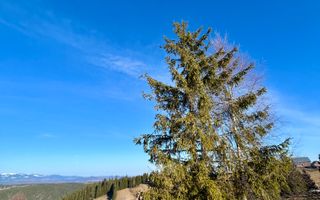 Cabana tip A frame si teren 1000 mp de vanzare / Marisel . Cluj - Poză 11