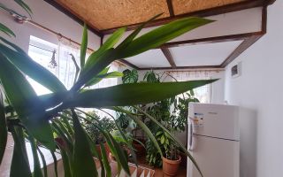 In regiune pitoreasca, cu view montan, Moeciu de Jos, Bran, Brasov - Poză 31