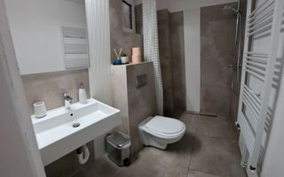 Casă 5 camere de închiriat | Ocna Sibiului, Curte - Poză 6