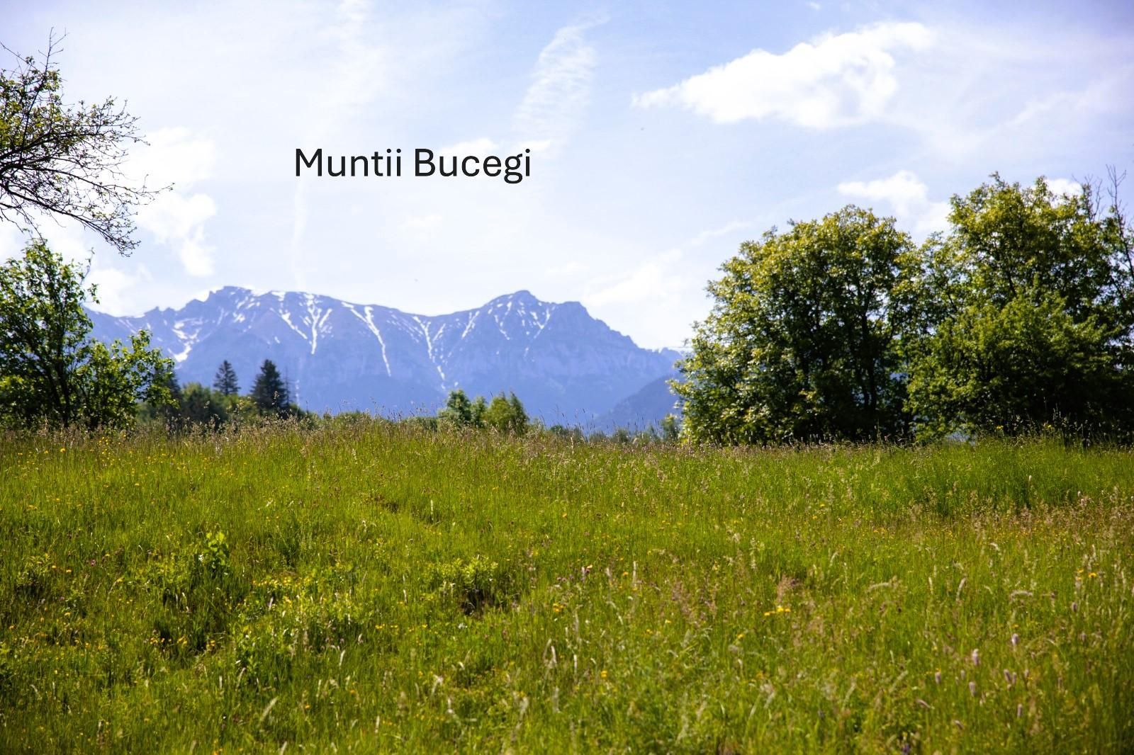 Teren intravilan plat in Bran, 1000 mp, vedere către Bucegi, utilitati - Poză 3