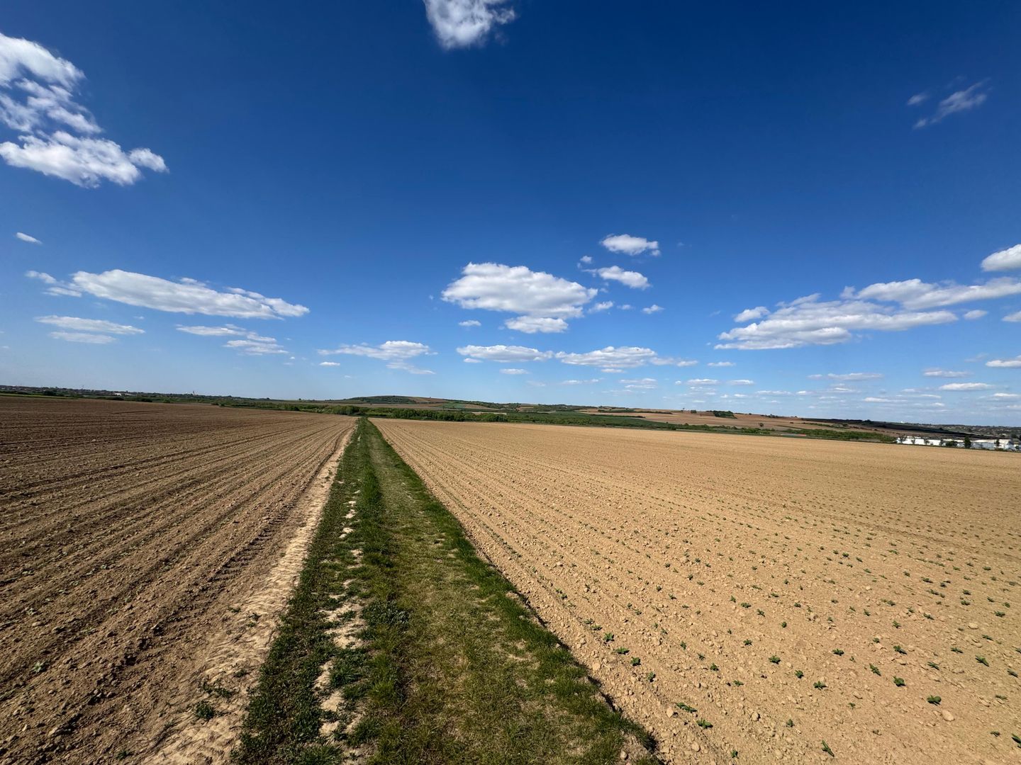 Teren extravilan de vânzare în Paleu - Poză 2