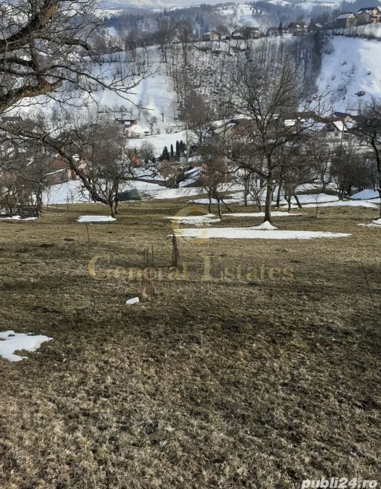 Teren Moieciu de Jos - Poză 5