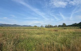 Teren de vânzare – exclusivitate, Baia Mare, strada Sebeșului - Poză 6